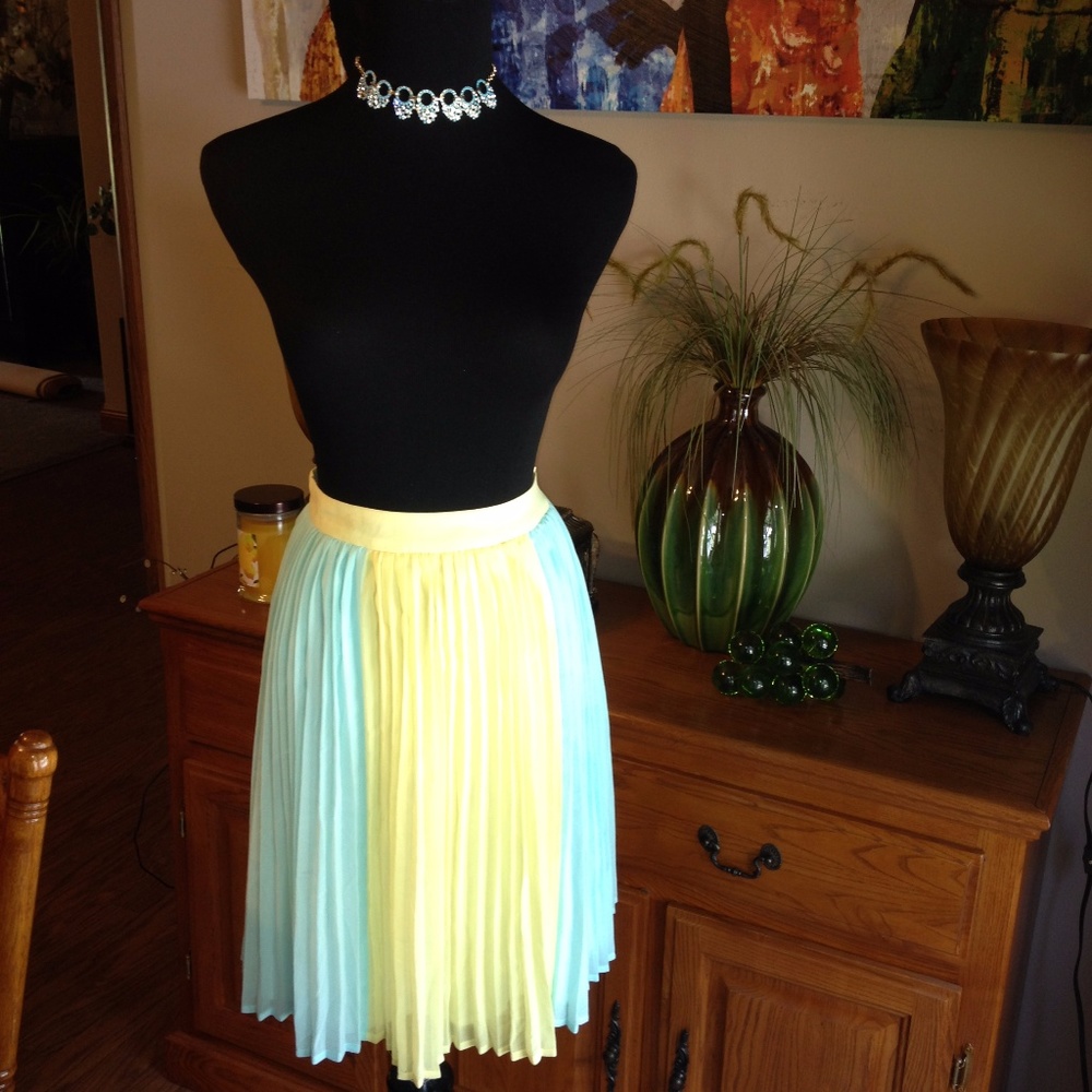Pleated spring skirt by Emmelee from Francesca's Collection‎